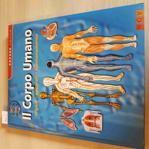 Carta Murale: Corpo Umano - Apparati e Organi - Poster