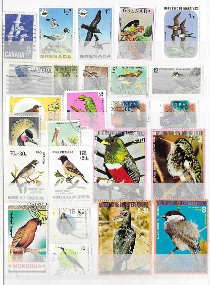 WW Collection_250308 #135 (U/M, see scans). Birds. Good stamps, best price! - Image 2 of 4