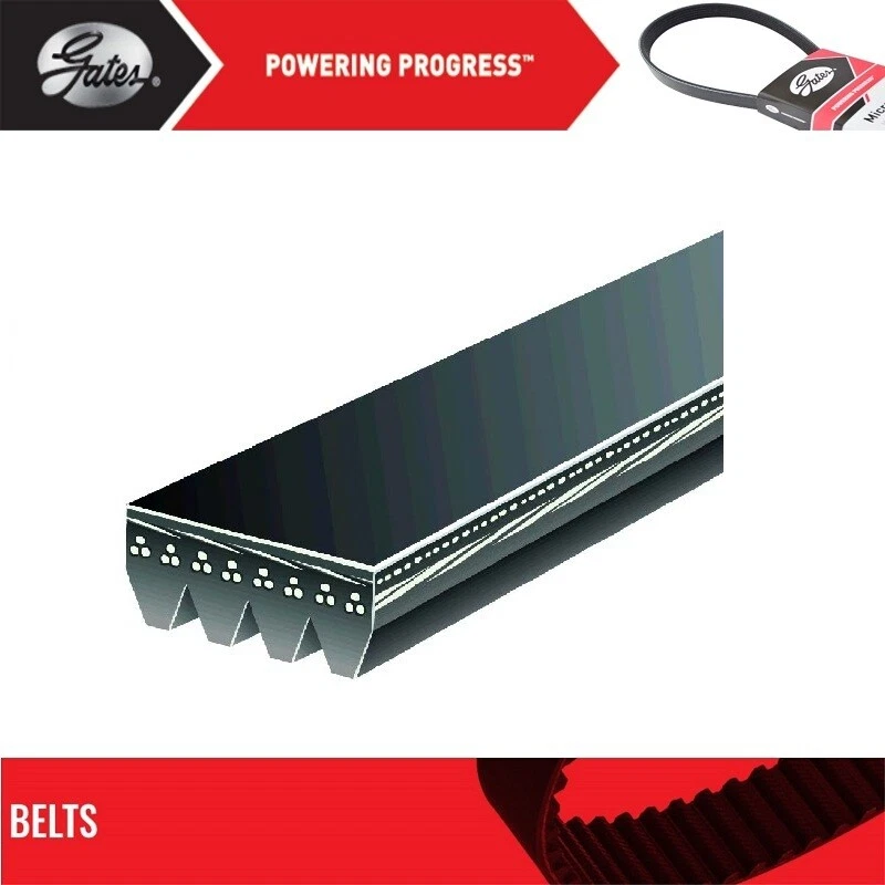 Gates Power Steering & Alternator Belt For 1993 LAND ROVER DEFENDER 110 V8-3.9L - Изображение 2 из 4