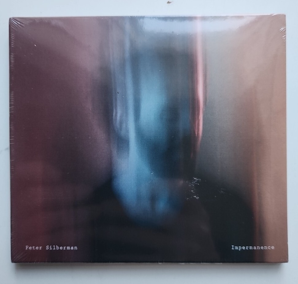 Peter Silberman - Impermanence - CD 2017 NEW & SEALED