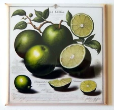 Limes FRIDGE MAGNET "style B"