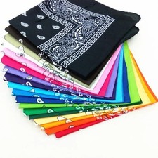 Paisley Print Bandana Biker Sports Scarf Wrist Head Warp Scarf Face Mask USA