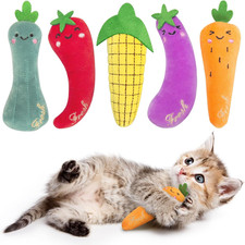 Catnip Cat Toys, Safe Teeth Cleaning Cat Nip Toys for Indoor Kitten Kitty,Int...