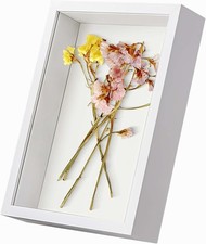 White Picture Frames Box Frame - 9X9 Shadow Boxes Square 3D Wooden Deep Object