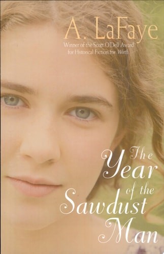 The Year of the Sawdust Man by LaFaye, A., Good Book
