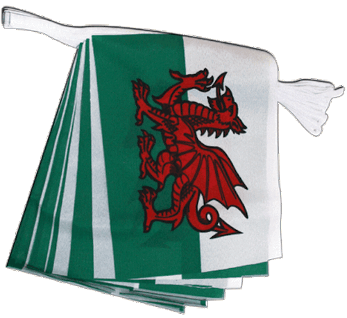 3 X 10 Metre 20 Flag Wales Welsh Dragon Rugby 6 Nations Cymru Fabric Bunting - Picture 7 of 8