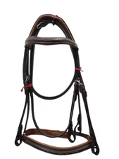 Beautiful Designer Leather English Bridle With Tan Padding All Size.