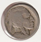1919 US Indian Head Buffalo Nickel FULL DATE Rare 107 Year Old Collection Coin