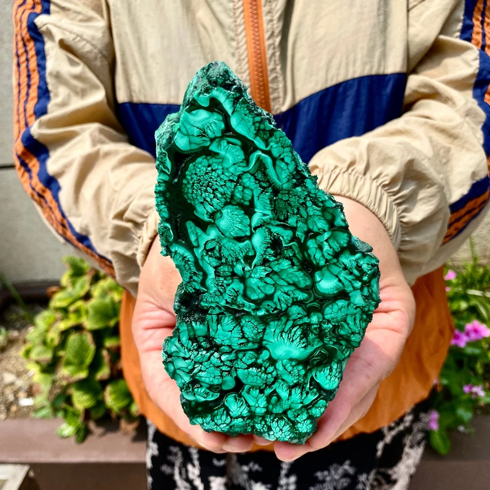 380G Malaquita Natural Escama Cuarzo Cristal Mineral Espécimen Decoración Reiki - Foto 3 de 4