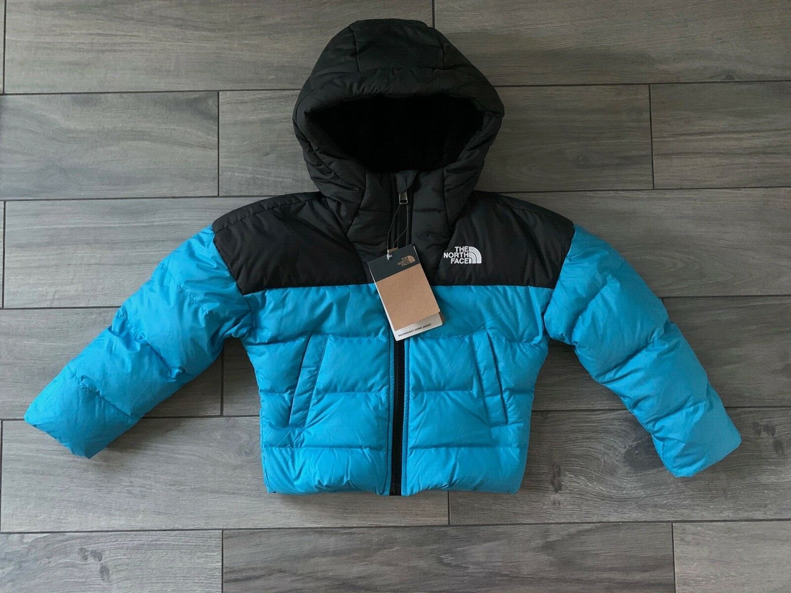 NORTH FACE MOONDOGGY DOWN JACKET 
