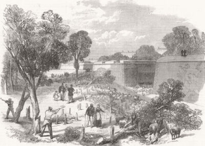 PARIS. Die Verteidigung von Paris. Bäume fällen im Bois de Boulogne 1870