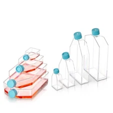 Thermo BioLite™ Cell Culture Treated Flasks 25 cm3  Cat#130192 Sterile 200/Case