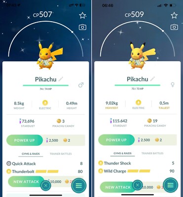 Shiny World Championships 2023 Pikachu Male Female - Trade - Read Description