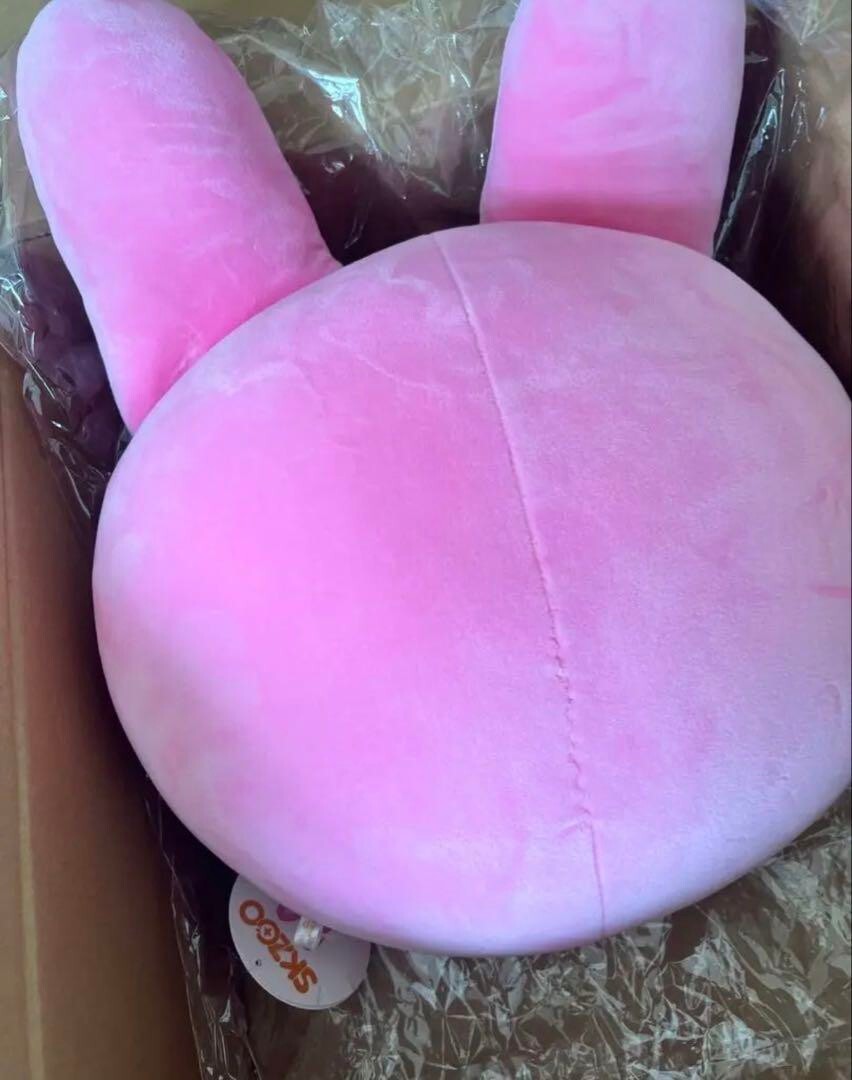 StrayKids SKZOO CHANGBIN DWAEKKI Official Plush Cushion JYP