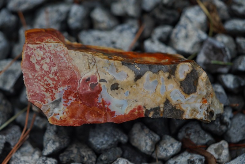 Large Cut Ohio Flint Colorful Red Butt With Agate cabochons or shelf specimen