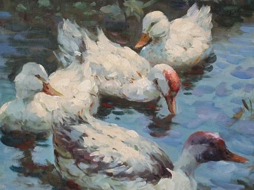 FUENF ENTEN IM SCHILF TEICH Gemälde antik unsign. ÖL Leinwd. Alexander