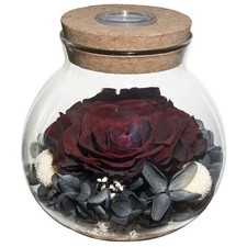 Preserved Real Roses with Colorful Mood Light Wishing Bottle,Eternal Rose 65292