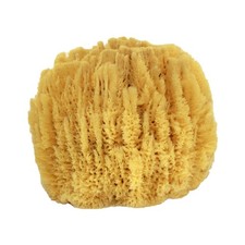 1 Piece 7-8 inch Sea Sponge, US Shell, Natural, Bath, Shower, Body, Large