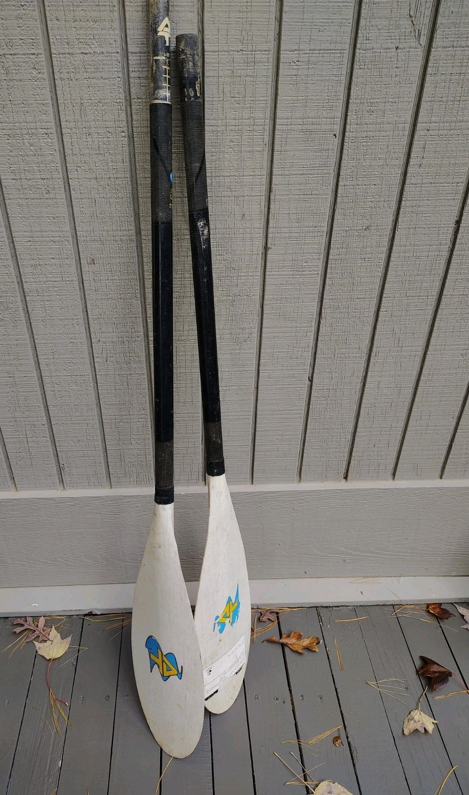 Paddle