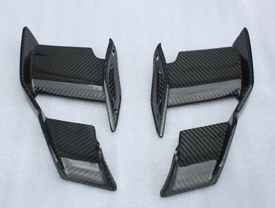 Ailerons Wings BMW S1000R M1000R 2021 2022 2023 2024 2025 100% Carbon