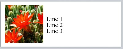 Cactus Flower Personalized Address Labels - Custom Country Style Stickers (JX 581)