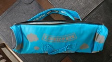 Ben and Jerrys Wine/drinks bottle cooler/insulated bag