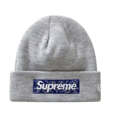 Supreme New Era Bandana Box Logo Beanie (FW19) (Heather Grey) - Authentic  