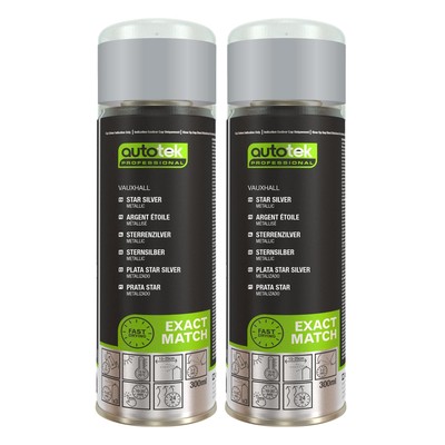 Autotek schnelltrocknender hochdeckender Sprühlack Vauxhall Star silber 300 ml x2