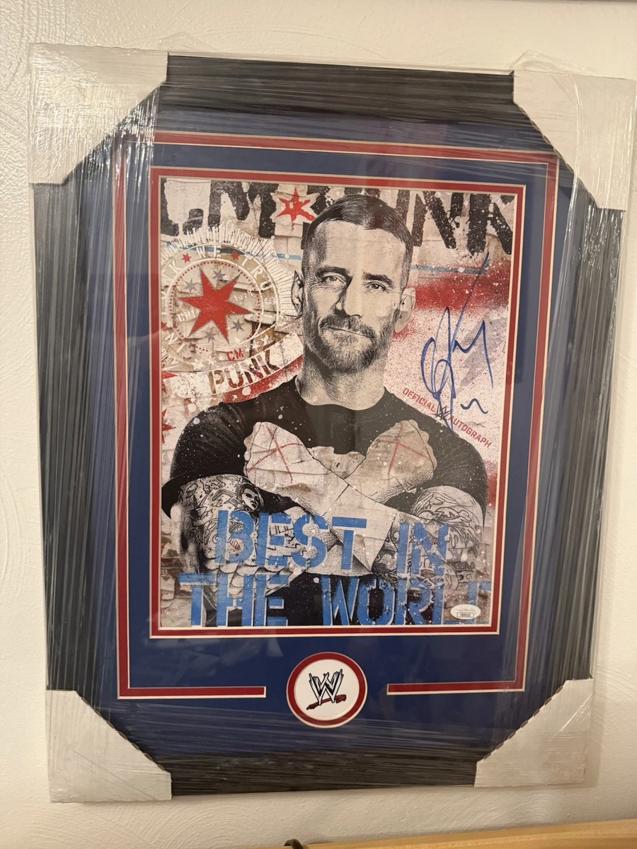 CM Punk WWE Wrestling Original Autographed Photos for sale | eBay