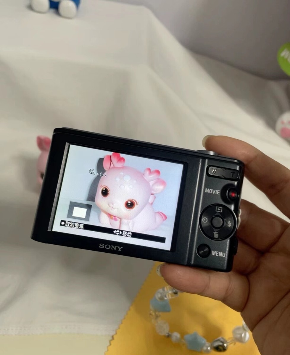 Sony CyberShot DSC W810 20.1 MP Digital Camera W/Battery & Charger