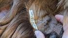 Human Hair Doll Wig Handwoven in France Circumference 13" for Bisque Head Doll — photo 6
