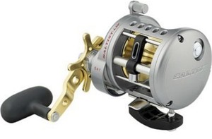 Daiwa Saltist Ld30 2-Speed | eBay