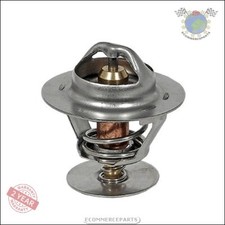 Thermostat Ford P 100