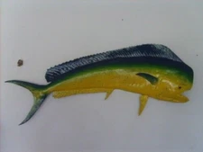 Mahi Mahi Replica Bull Dolphin  40 Inch Half Mount Call 352-457-9030