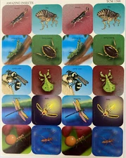 AMAZING INSECTS SQUARE Stickers (20pc)Bugs•Garden•Flying•Firefly •Flea•Bite•Wasp
