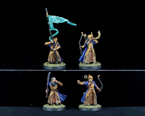 Rivendell Pro Painted Army Builder - Herr der Ringe Minis COMMISSION Lorien - Bild 24 von 60