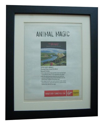 SUPER FURRY ANIMALS+Rings+POSTER+AD+RARE ORIGINAL 2001+FRAMED+EXPRESS WORLD SHIP