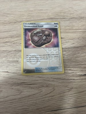 Unidentified Fossil Holo 210/236