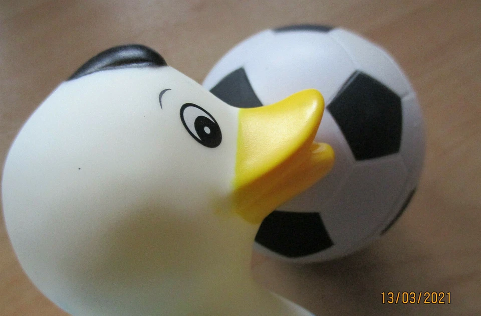 Fussball 1. und 2. und 3.Bundesliga Badeenten