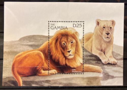 Gambia, lions S.C.#1742 MNH S/S of 1 issued in 1996