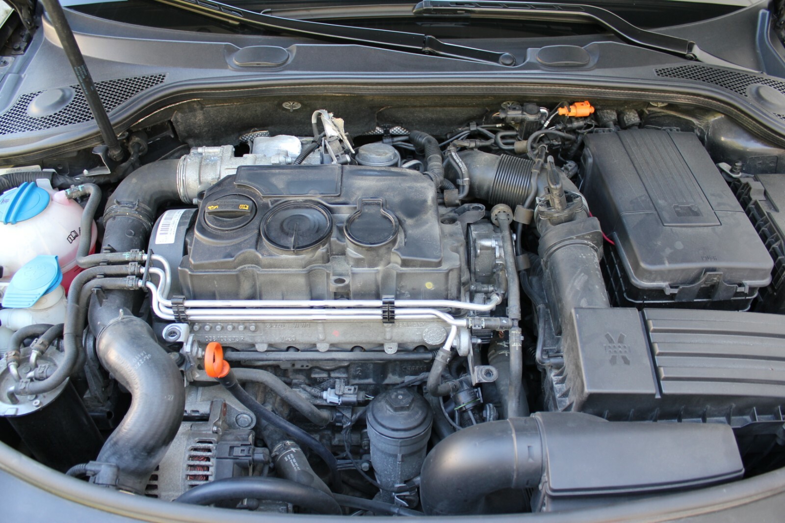 Picture 8 of 9