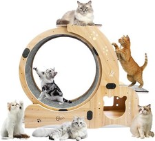 Cat Wheel 5/6-in-1 Upgraded Exercise Wheel Treadmill w/Silent Running Wheel