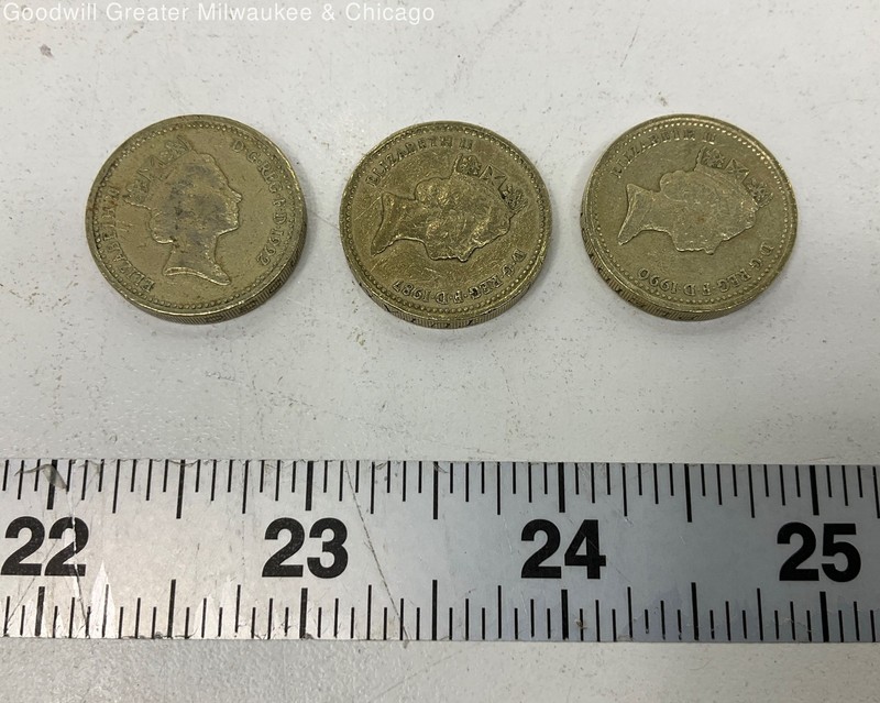 Royal Mint Gold Nickel Brass Queen Elizabeth II UK One Pound Coin
