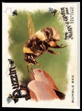2024 Topps Allen & Ginter #BUZ-3 Bumble Bee Buzzin'