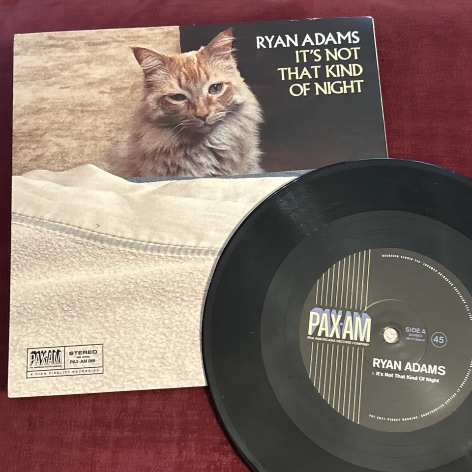 RYAN ADAMS – It's Not That Kind Of Night - 7” Vinyl Single - 2021 Foto 3 de 4