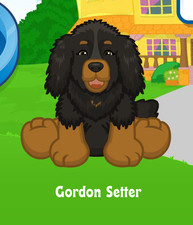 Webkinz Gordon Setter Virtual Adoption Code Only Messaged Webkinz Promo Dog Code
