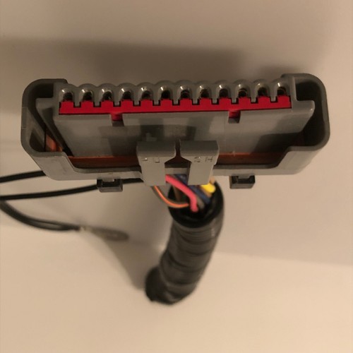 Ford OEM EDIS8 Ignition Module Gray Connector Pigtail Wiring 4.6L megasquirt - Bild 9 von 12