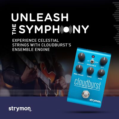 Strymon Cloudburst Ambient Reverb Guitar Pedal with Ensemble E