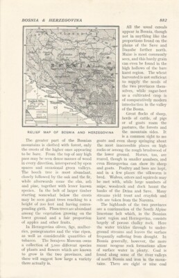 BOSNIA & HERZEGOVINA RELIEF MAP c 1926 ILLUSTRATION PRINT