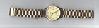 KAKABI Analog Quartz EASY READ Watch Gold case & Band with Day Window ~ All NEW — photo 2